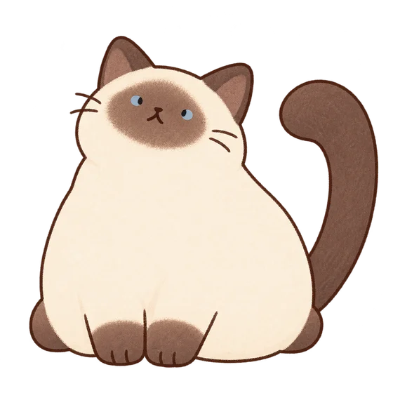샴 고양이